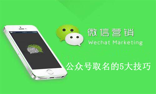 微信營銷和網站建設(微信營銷和網站建設的關系)