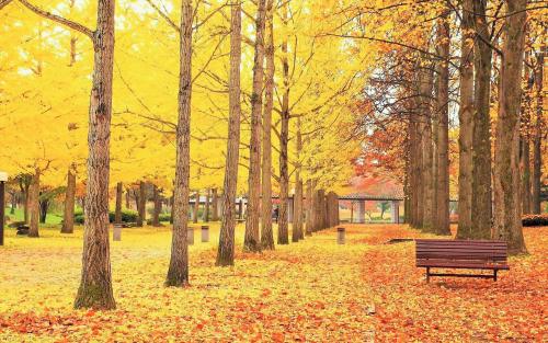 互聯網新聞研究中心崔俊飛(互聯網新聞研究中心崔俊飛主任)