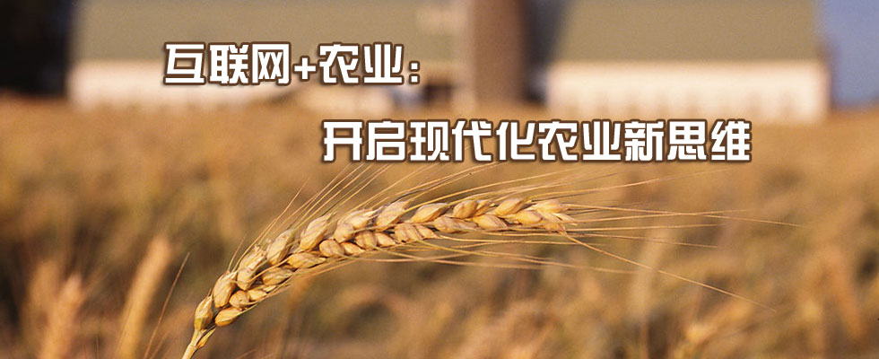 蔬菜互聯(lián)網(wǎng)最新消息(互聯(lián)網(wǎng)蔬菜平臺有哪些)