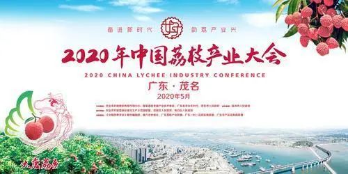 茂名網(wǎng)站建設(shè)信息(茂名企業(yè)網(wǎng)站建站模板)