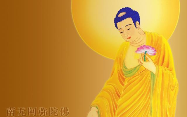 凈土宗網站建設(凈宗網中國凈宗網站)