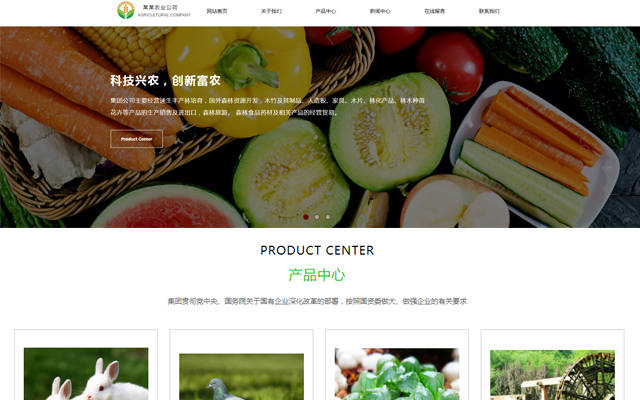 黃石網(wǎng)站建設(shè)產(chǎn)品(黃石網(wǎng)站建設(shè)公司百科)