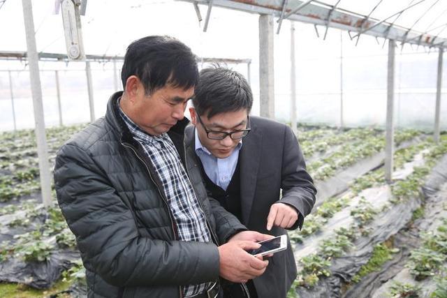 互聯網農業產業新聞(互聯網農業產業新聞稿件)