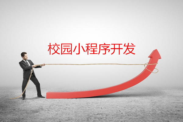 校園游戲小程序開發(校園游戲小程序開發流程)