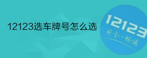 選車牌號網(wǎng)站建設(shè)(車牌選號網(wǎng)站是什么)