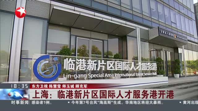 臨港新片區建設新聞網站(臨港新片區建設新聞網站官網)