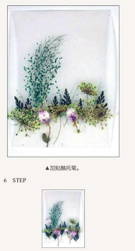 建設網站制作干花(建設網站制作干花模板)