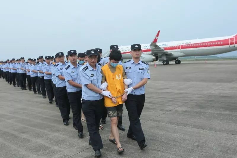 重慶互聯網詐騙案件最新消息(重慶互聯網詐騙案件最新消息視頻)