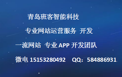 青島網站建設營銷(青島網站建設營銷公司)